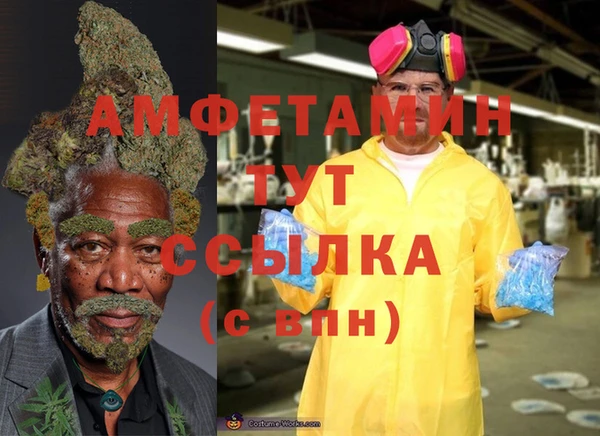 spice Абаза
